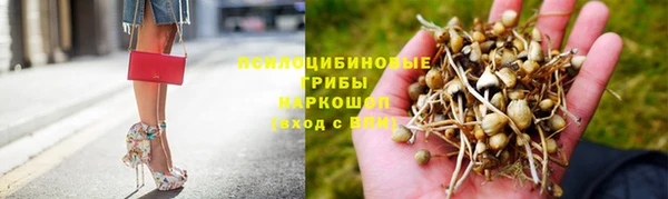 круглые Аркадак