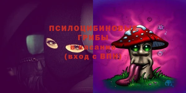 прущая мука Армянск