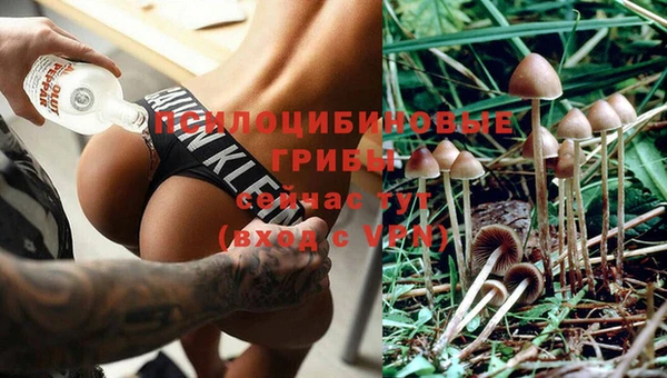 гашишное масло Арсеньев