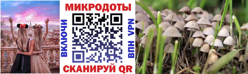 Псилоцибиновые грибы GOLDEN TEACHER  Октябрьск 
